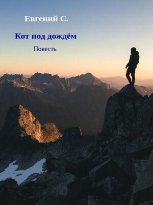cover image of Кот под дождём
